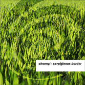 Serpiginous Border EP