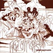 The Night Never Sleeps