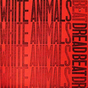 White Animals: NASHVILLE BABYLON