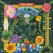 The Next Waltz - Volume 2