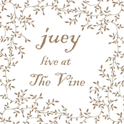 Live at The Vine