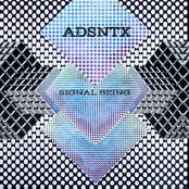 Signal Being
