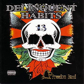 Straight Up by Delinquent Habits