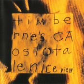 Impacted Wisdom by Tim Berne's Caos Totale