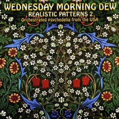 Wednesday Morning Dew (Realistic Patterns 2 - Orchestrated Psychedelia From The USA)