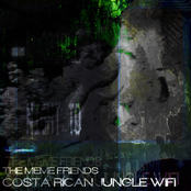 Costa Rican Jungle Wifi