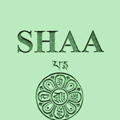 Shaa (italy)