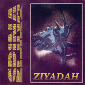 Ziyadah