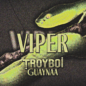 Viper