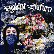 NEW LP! 2008 (comin out on Spook Records)