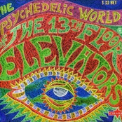 The Psychedelic World Of The 13th Floor Elevators