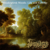 Meadowtrek Woods: Life and Ecology