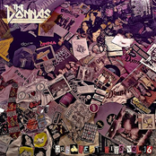 I Wanna Be With A Girl Like You by The Donnas