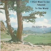 I Don't Want To Get Adjusted To This World