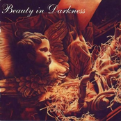 Beauty in Darkness Vol. 1