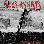 Black Mambas: Moderation