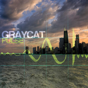 Graycat