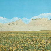 It Was All Just a Haze