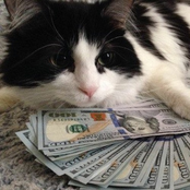 arriving on my racks