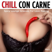 Chill Con Carne, Vol. 1 (Spicy Lounge Grooves for Love Making)