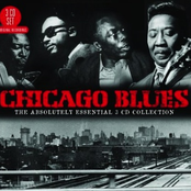 the blues collection 11: chicago blues