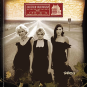 Dixie Chicks: Home