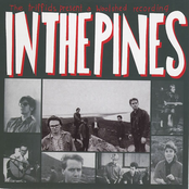 In The Pines by The Triffids