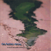 In Black and White Nothing is Color