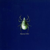 Mystery's Mist  (Complete)