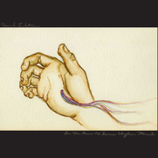 In the Arms of Some Wingless Miracle