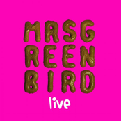 Mrs. Greenbird - Live