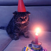 2022 BIRTHDAY MIX
