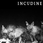 incudine