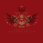 Goodbye (Christmas Edition)