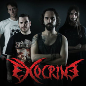 exocrine