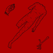 Split 12" with Foxmoulder