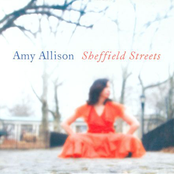 The Needle Skips by Amy Allison