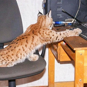 can't remember to let go