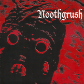 Noothgrush / Deadbodieseverywhere