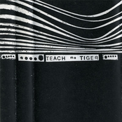 teach me tiger