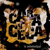 Cara Y Seca