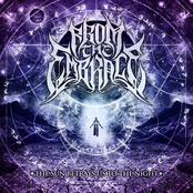 The Sun Betrays Us To The Night