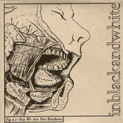 Say We Are Not Brothers