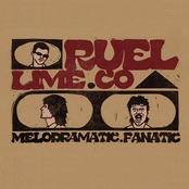 Melodramatic Fanatic - Single