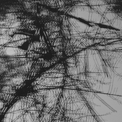 Non-Local Hidden Variable