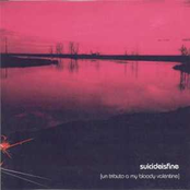 Suicide Is Fine (Tribute To My Bloody Valentine)
