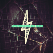 Zebra EP