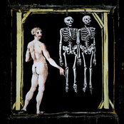 My Favourite Hit & Run