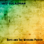 Days and the Missing Pieces