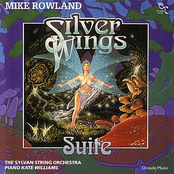 Fly On Silver Wings by Mike Rowland